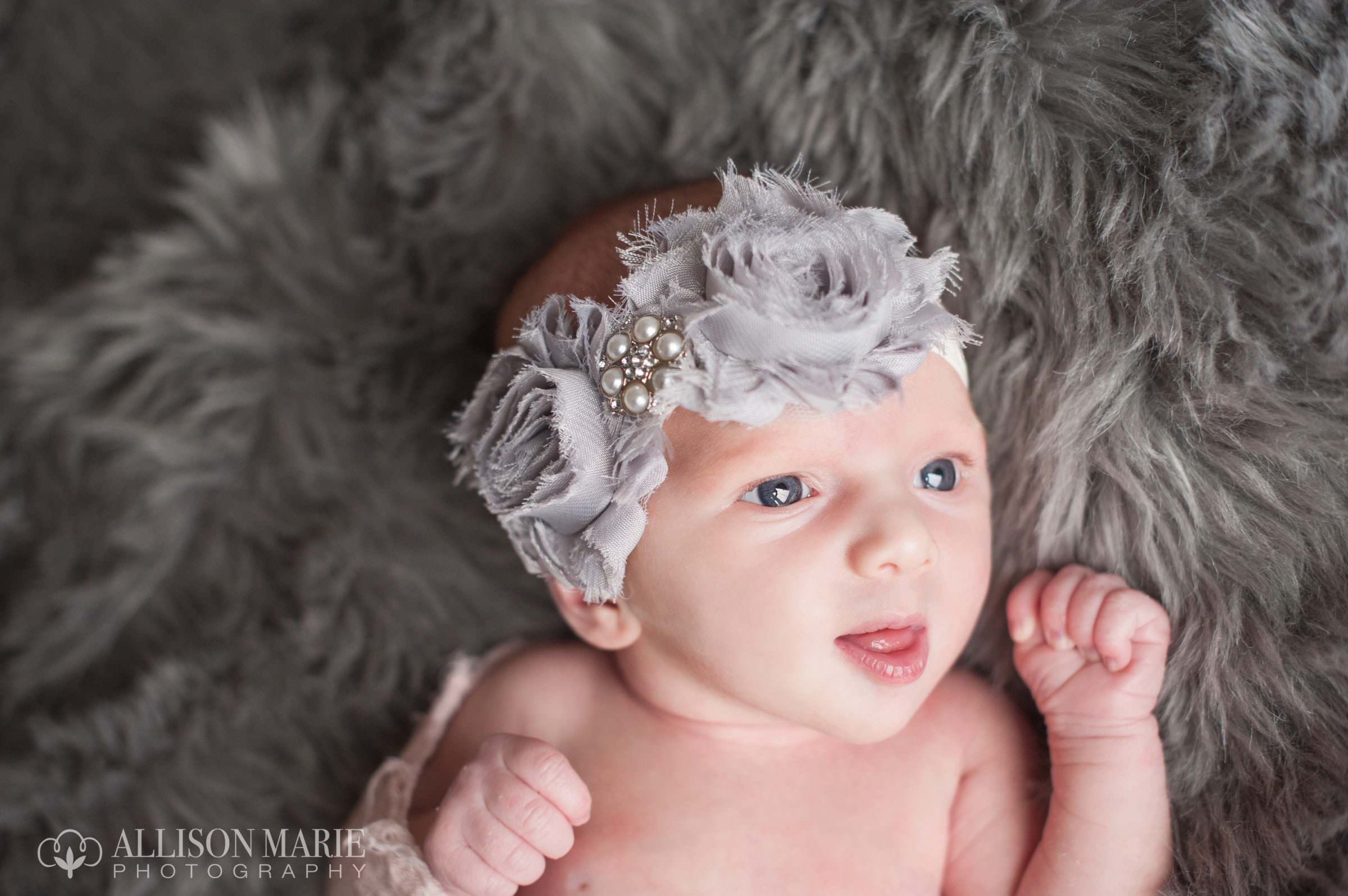 Kansas City Wedding Photographer, Allison marie Photography Newborn Photos21
