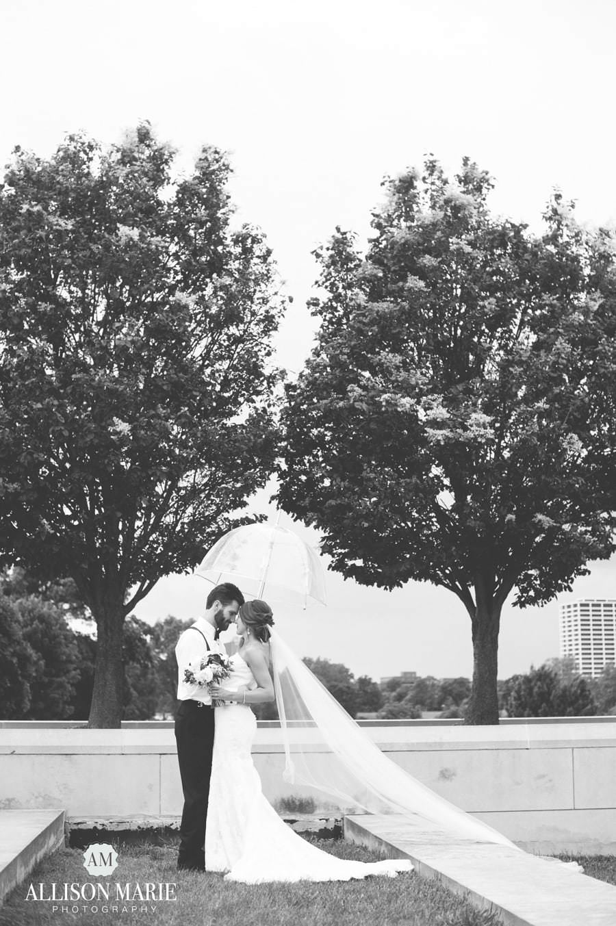 Allison Marie Photography, Kansas City Wedding Photographer, Ben and JoEllen114
